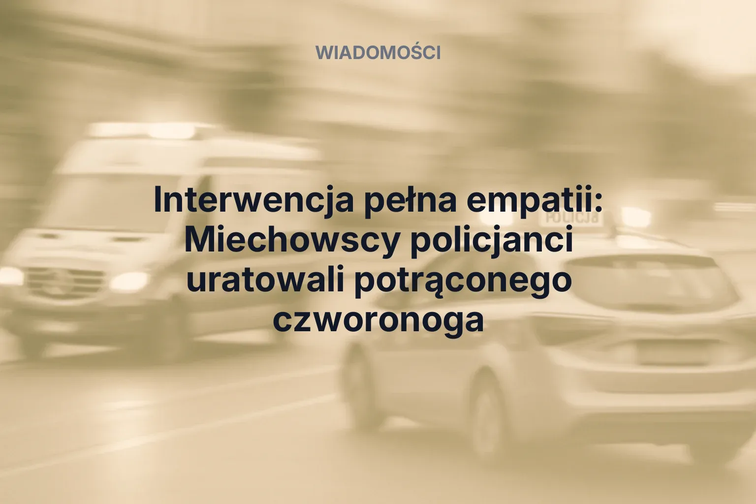 Artykuł: Interwencja pełna empatii: Miechowscy policjanci uratowali potrąconego czworonoga