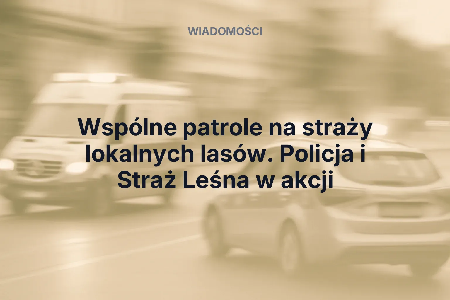 Miniatura: Wspólne patrole na straży lokalnych lasów. Policja i Straż Leśna w akcji